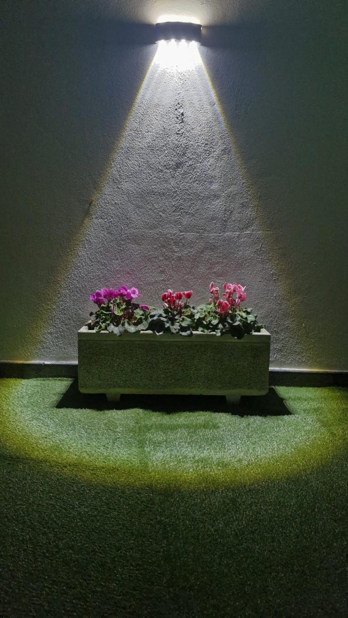 Casa Vereda Ponta Delgada, S Miguel 外观 照片